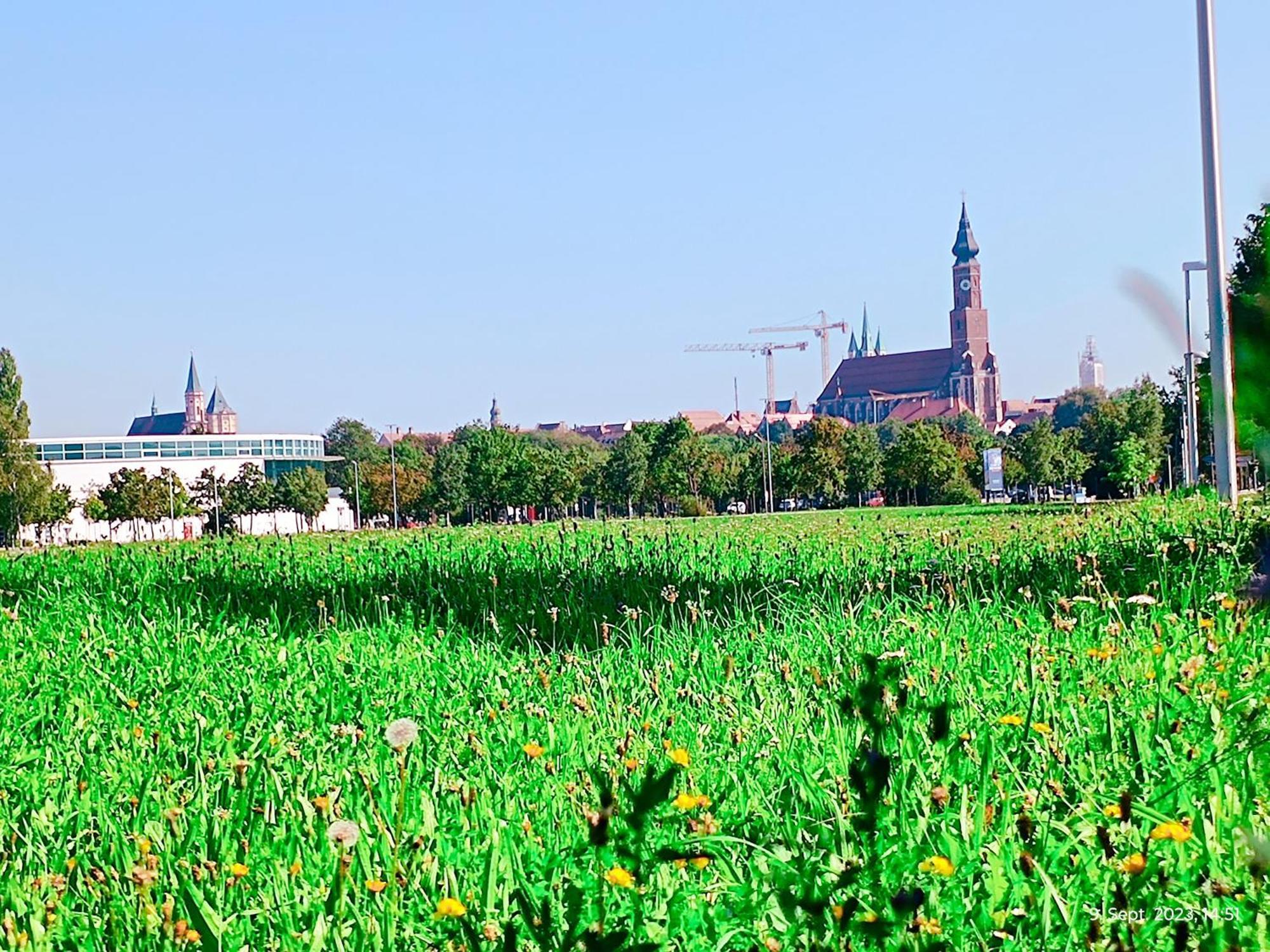 G.A.D.D Ferienwohnung/Glueck An Der Donau Straubing Ngoại thất bức ảnh